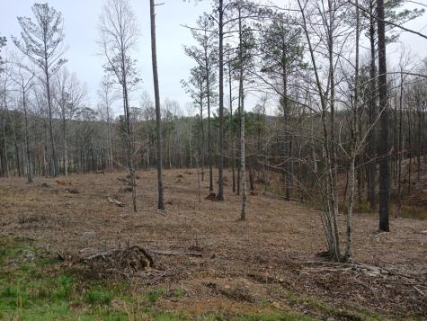 Lot 337 Timber Creek Trail Talking Rock GA 30175