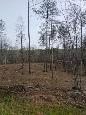 Lot 337 Timber Creek Trail Talking Rock GA 30175