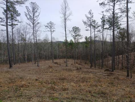 Lot 337 Timber Creek Trail Talking Rock GA 30175