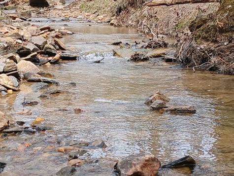 Lot 337 Timber Creek Trail Talking Rock GA 30175