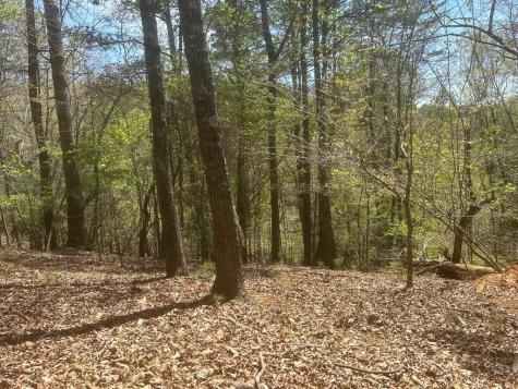 LT1944 Palmetto Drive Ellijay GA 30540