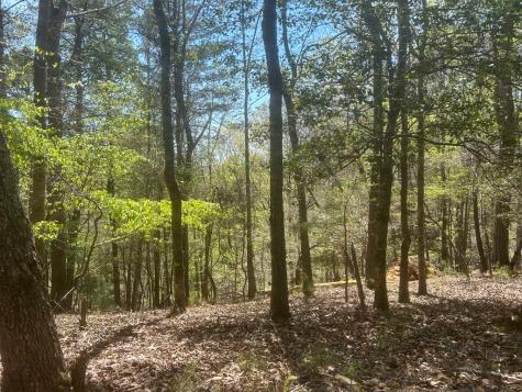 LT1944 Palmetto Drive Ellijay GA 30540