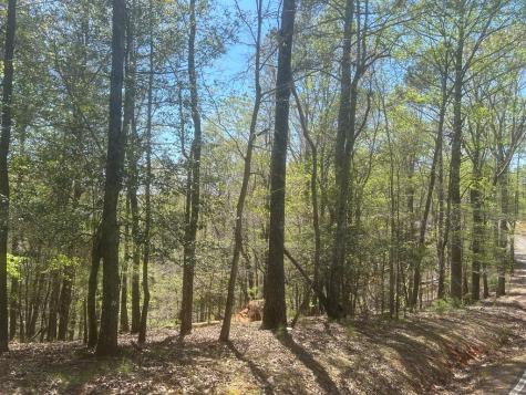 LT1944 Palmetto Drive Ellijay GA 30540