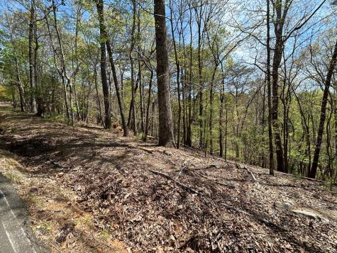 LT1944 Palmetto Drive Ellijay GA 30540