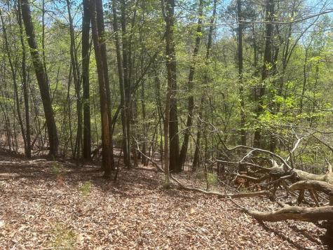 LT1944 Palmetto Drive Ellijay GA 30540