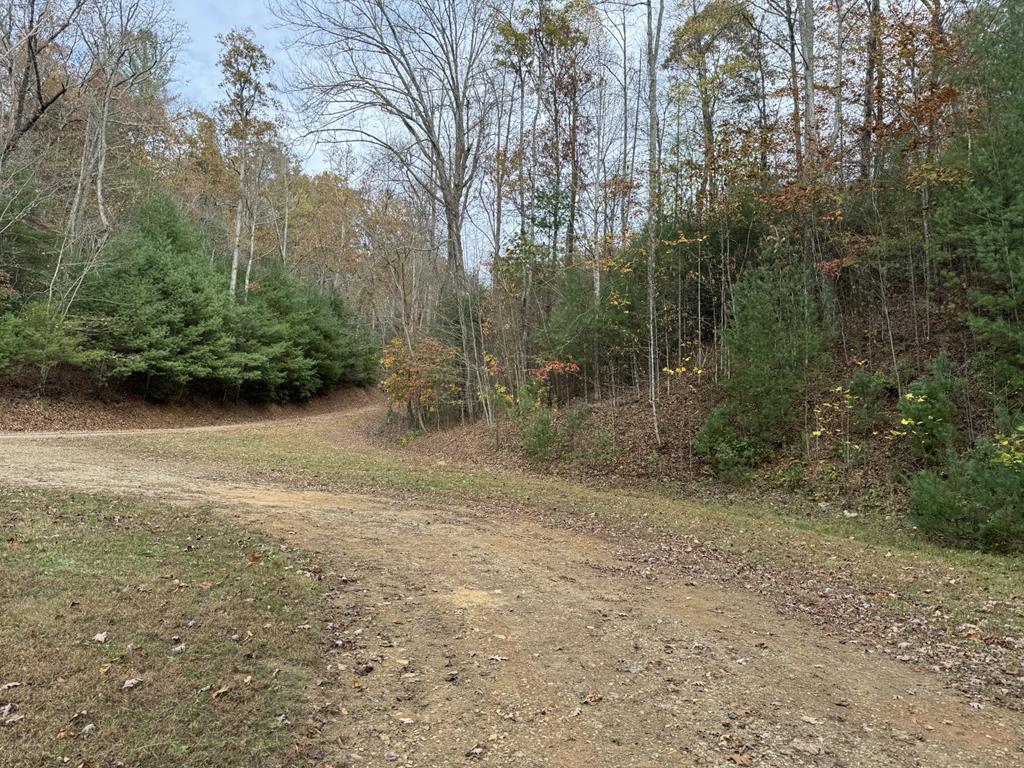 00 Heritage Trail Brasstown NC 28902