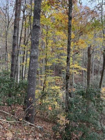 00 Heritage Trail Brasstown NC 28902