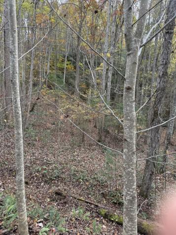 00 Heritage Trail Brasstown NC 28902