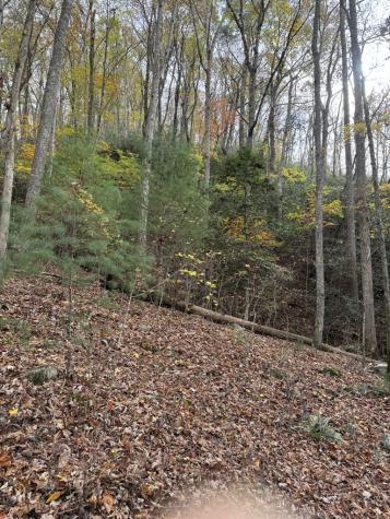 00 Heritage Trail Brasstown NC 28902