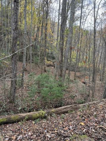 00 Heritage Trail Brasstown NC 28902