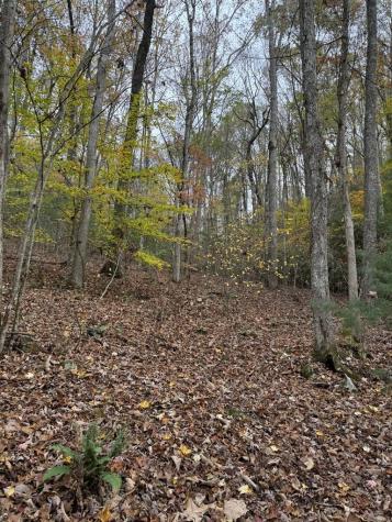 00 Heritage Trail Brasstown NC 28902