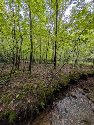 26.98 Ac Tusquittee Hayesville NC 28904