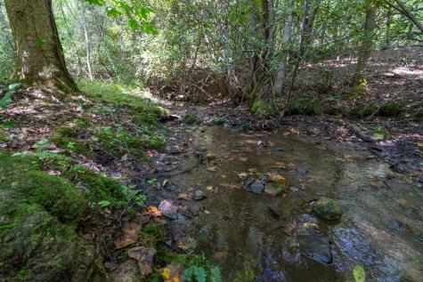 26.98 Ac Tusquittee Hayesville NC 28904