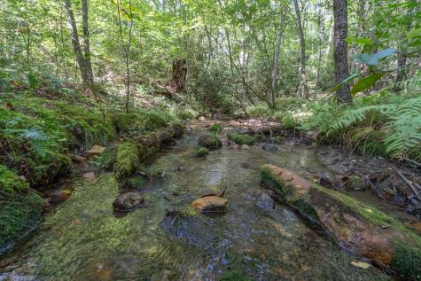 26.98 Ac Tusquittee Hayesville NC 28904