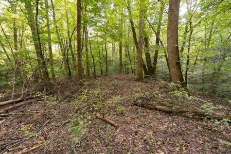 26.98 Ac Tusquittee Hayesville NC 28904