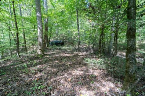 26.98 Ac Tusquittee Hayesville NC 28904