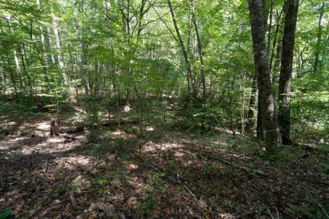 26.98 Ac Tusquittee Hayesville NC 28904