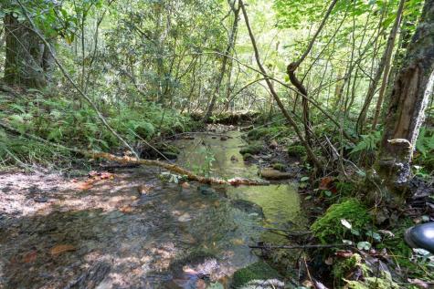 26.98 Ac Tusquittee Hayesville NC 28904
