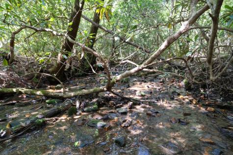 26.98 Ac Tusquittee Hayesville NC 28904