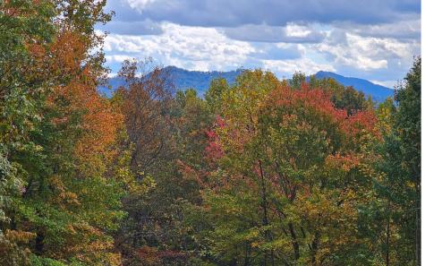 9A Chatuge Woods Hayesville NC 28904
