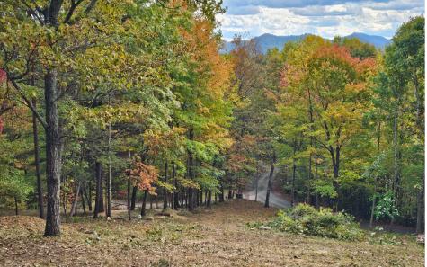 9A Chatuge Woods Hayesville NC 28904