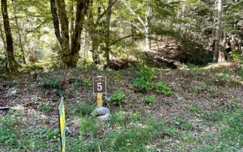 5 Tusquittee Crossing Hayesville NC 28904