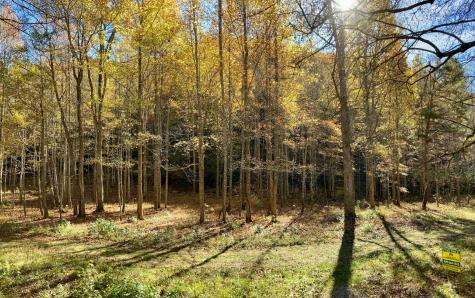5 Tusquittee Crossing Hayesville NC 28904