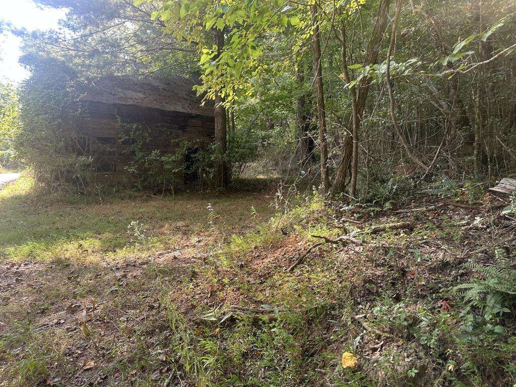 000 Brendle Cove Lane Hayesville NC 28904