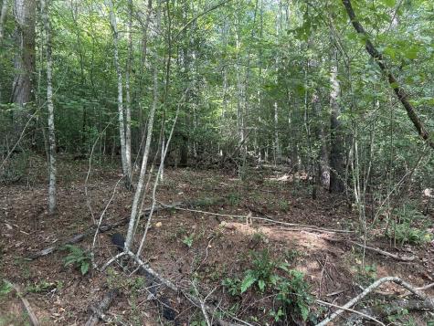 000 Brendle Cove Lane Hayesville NC 28904