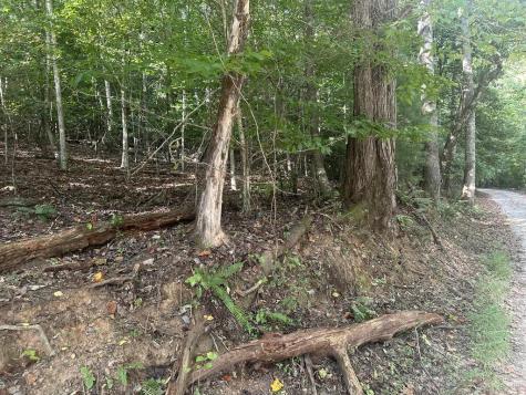 000 Brendle Cove Lane Hayesville NC 28904