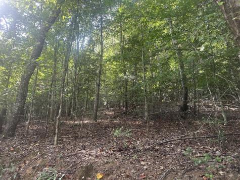 000 Brendle Cove Lane Hayesville NC 28904