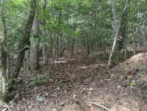 000 Brendle Cove Lane Hayesville NC 28904
