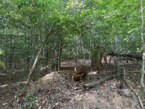 000 Brendle Cove Lane Hayesville NC 28904
