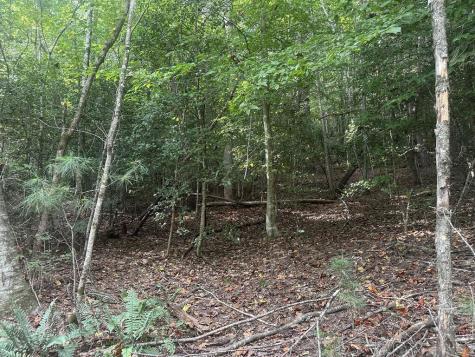 000 Brendle Cove Lane Hayesville NC 28904