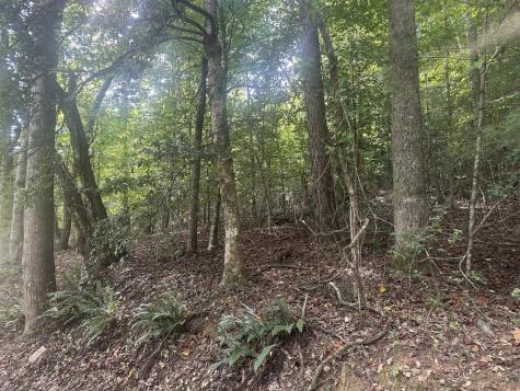 000 Brendle Cove Lane Hayesville NC 28904
