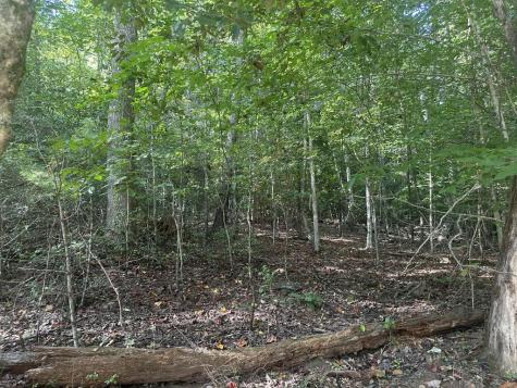 000 Brendle Cove Lane Hayesville NC 28904