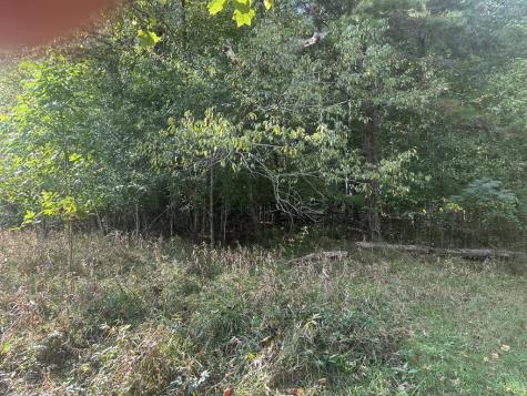 000 Brendle Cove Lane Hayesville NC 28904
