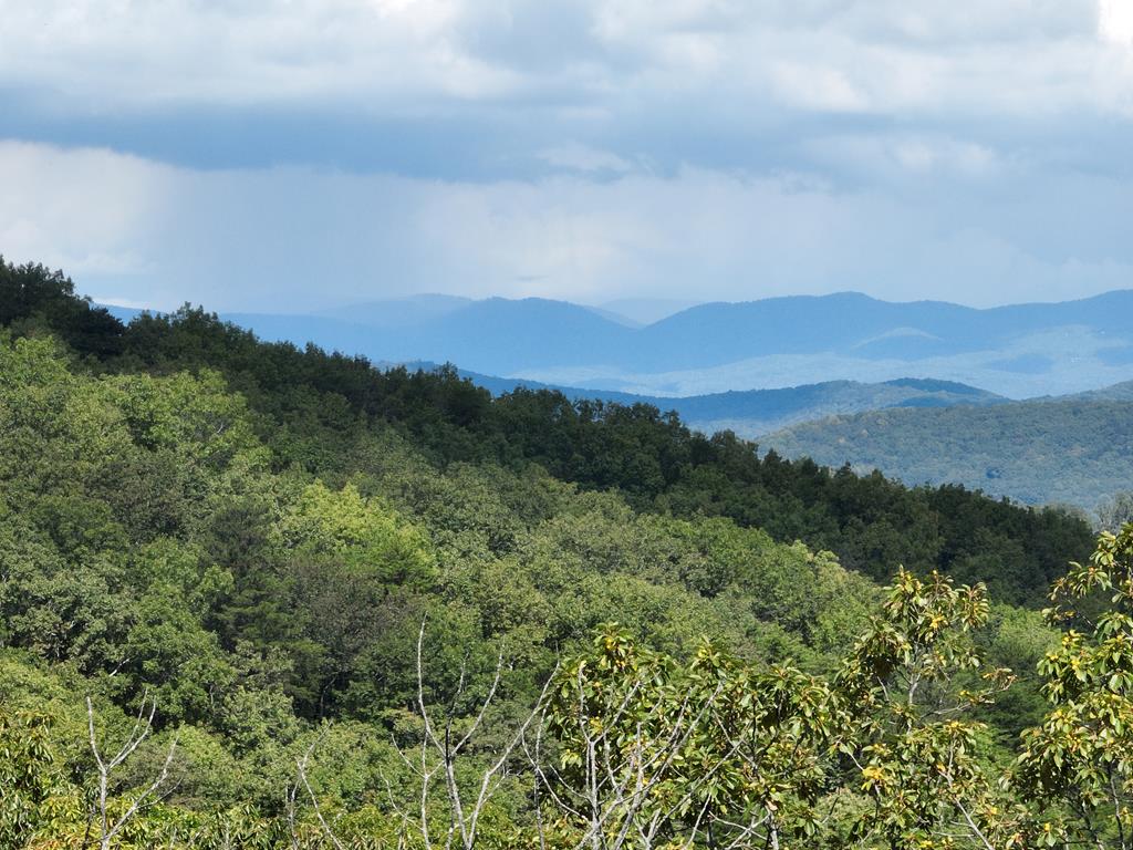 234 Stone Cliff Drive Ellijay GA 30536