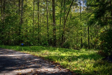 Lt 32 Pheasant Tail Trace Ellijay GA 30536