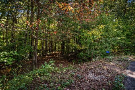 Lt 32 Pheasant Tail Trace Ellijay GA 30536