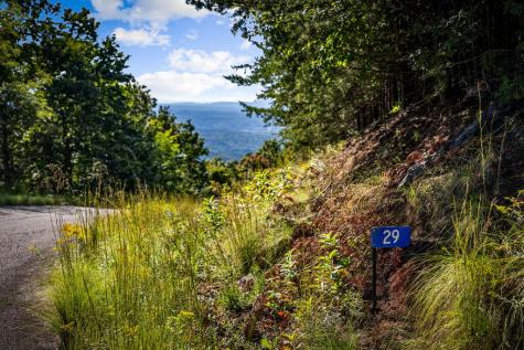 Lt 32 Pheasant Tail Trace Ellijay GA 30536