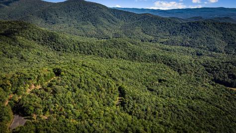 Lt 32 Pheasant Tail Trace Ellijay GA 30536