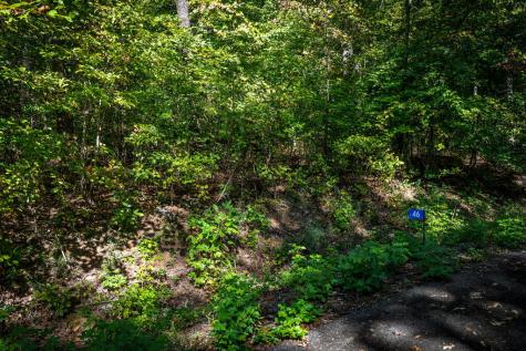 Lt 32 Pheasant Tail Trace Ellijay GA 30536