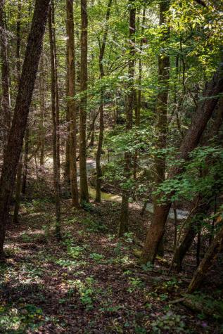 Lt 32 Pheasant Tail Trace Ellijay GA 30536