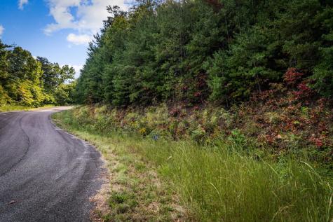 Lt 32 Pheasant Tail Trace Ellijay GA 30536