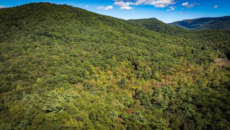 Lt 32 Pheasant Tail Trace Ellijay GA 30536