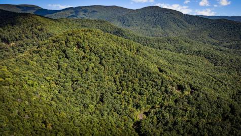 Lt 32 Pheasant Tail Trace Ellijay GA 30536