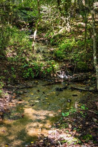Lt 32 Pheasant Tail Trace Ellijay GA 30536