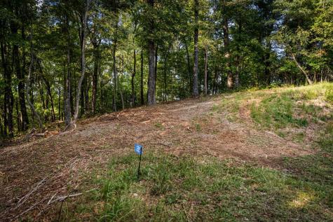 Lt 32 Pheasant Tail Trace Ellijay GA 30536