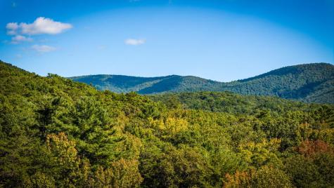 Lt 32 Pheasant Tail Trace Ellijay GA 30536